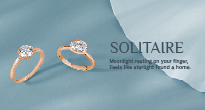 collection-06